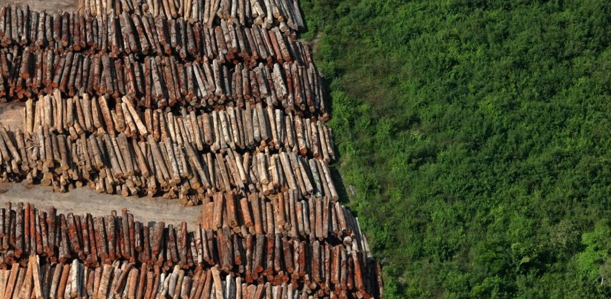 Crônica de uma crise anunciada: desmatamento pode causar grandes prejuízos econômicos