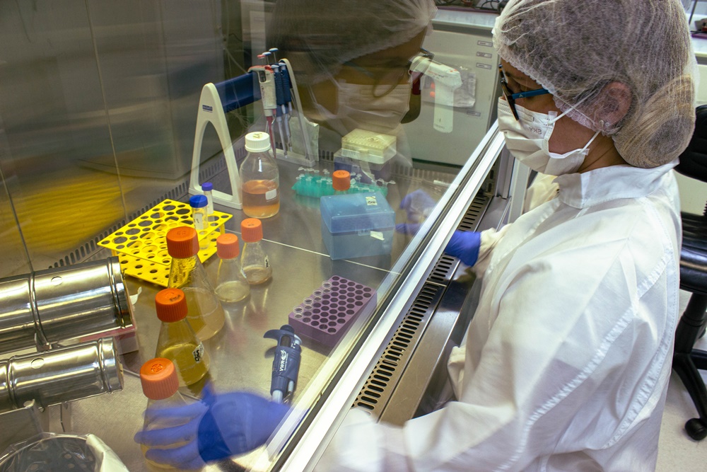 UFRJ submete pedido para testes clínicos da vacina contra Covid-19