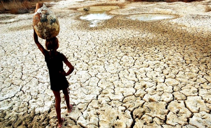 Relatório do IPCC revela riscos das mudanças climáticas para a segurança alimentar