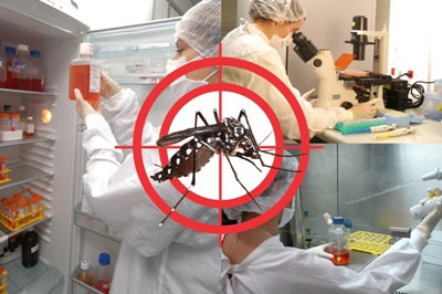 Coppe promove debate sobre vírus zika e Aedes Aegypti
