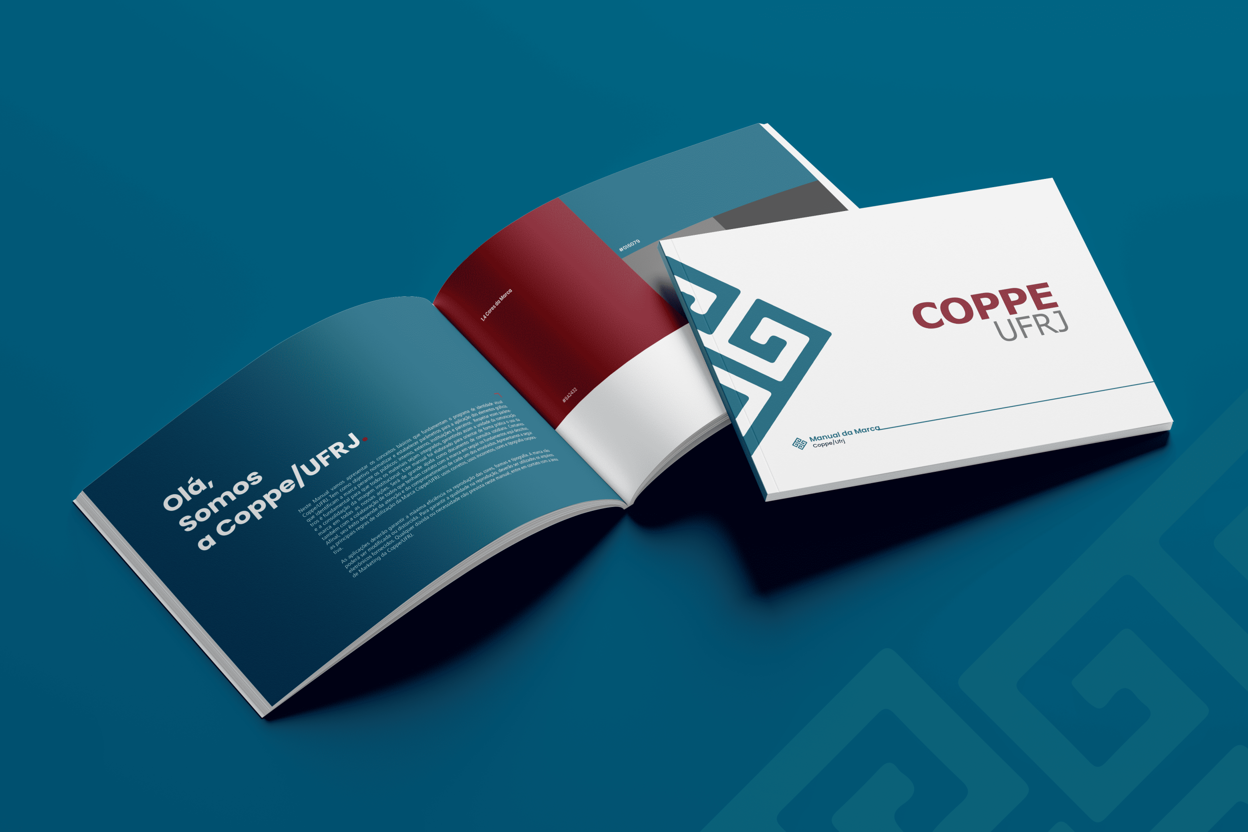 A força da nossa identidade: Coppe lança novo Manual de Marca e convida todos a serem embaixadores da marca