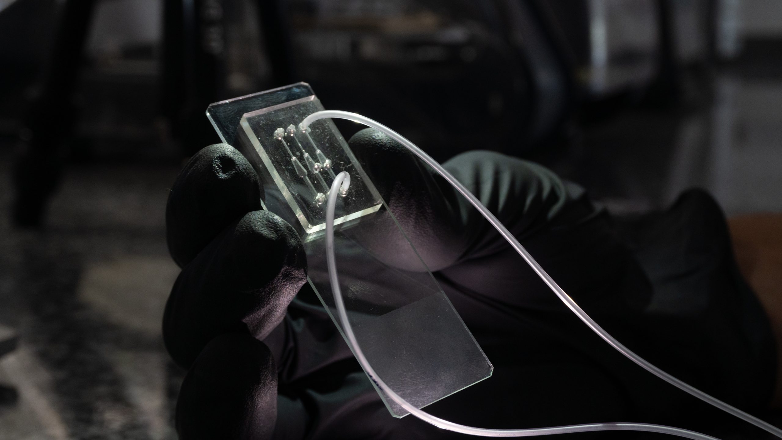 Chip da Coppe oferece solução acessível e disruptiva para a indústria de biotecnologia 